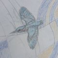 Kingfisher - Detail of Template Drawing , Clinic Cois Abhann Commission.
