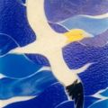 19-Gannet.jpg